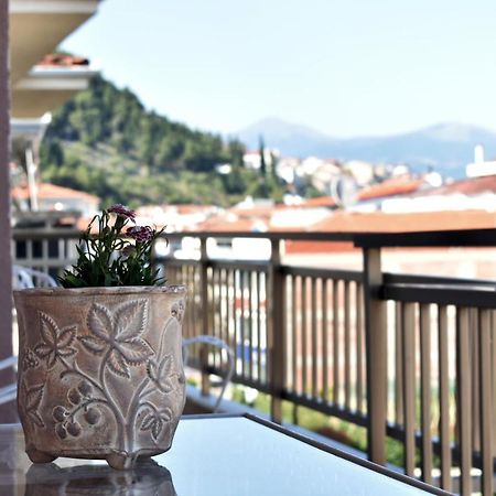 Κεντρικό Και Ευρύχωρο Οροφοδιαμέρισμα カストリア エクステリア 写真