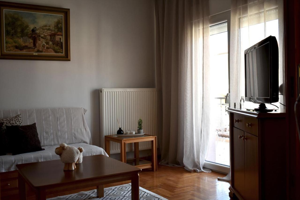 Κεντρικό Και Ευρύχωρο Οροφοδιαμέρισμα カストリア エクステリア 写真